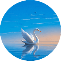 Creative Service Image